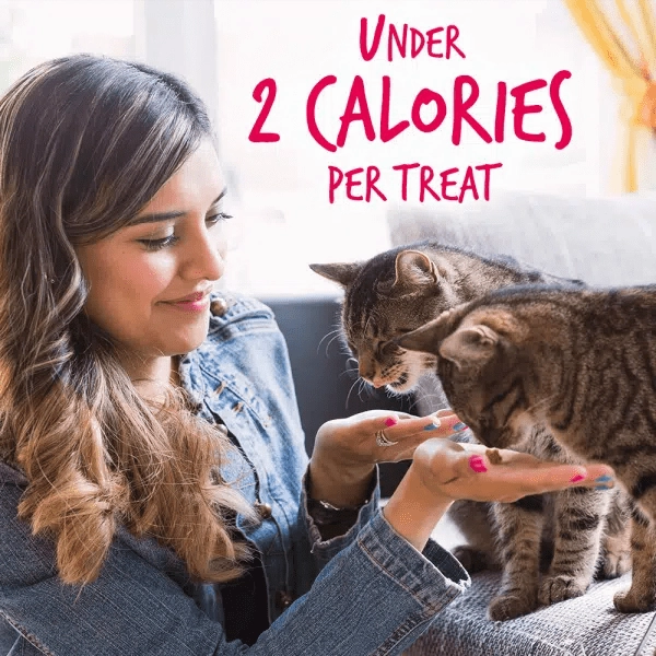 Fruitables Salmon Flavor with Cranberry Cat Treats