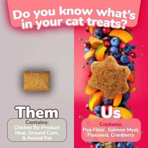 Fruitables Salmon Flavor with Cranberry Cat Treats