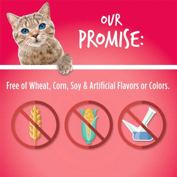 Fruitables Salmon Flavor with Cranberry Cat Treats