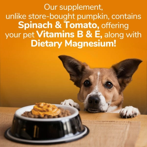 Fruitables SuperBlend Digestive Supplement for Dogs & Cats