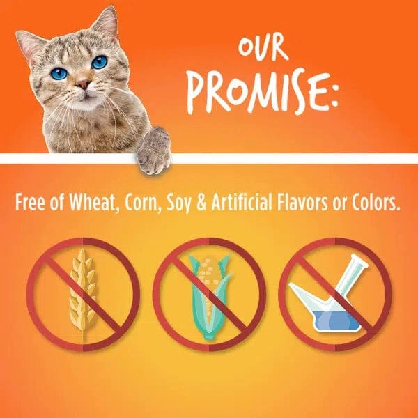 Fruitables Tuna Flavor with Pumpkin Cat Treats