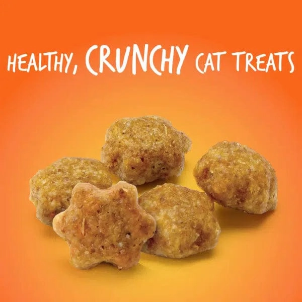 Fruitables Tuna Flavor with Pumpkin Cat Treats