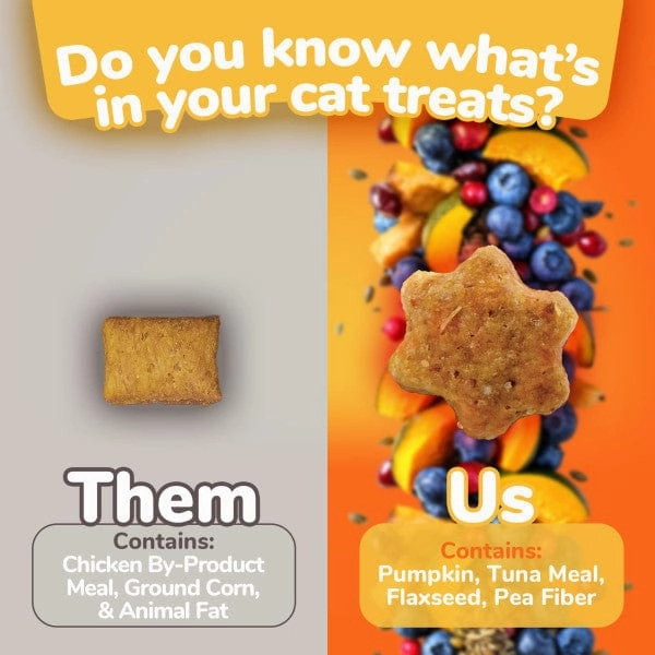 Fruitables Tuna Flavor with Pumpkin Cat Treats