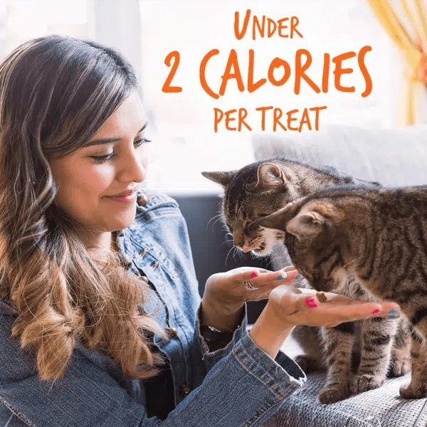 Fruitables Tuna Flavor with Pumpkin Cat Treats