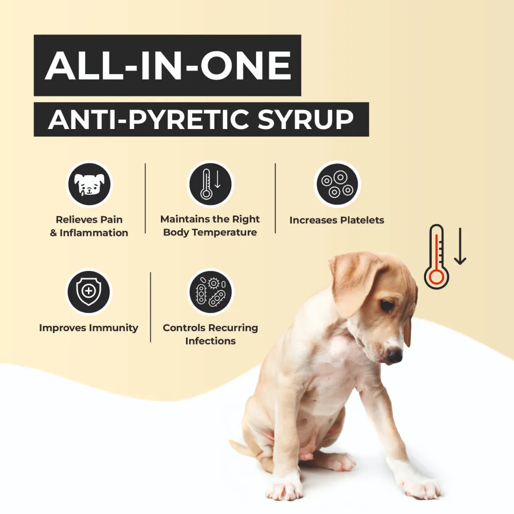 FurBall Story Fever, Cough & Cold Relief Syrup for Dogs and Cats