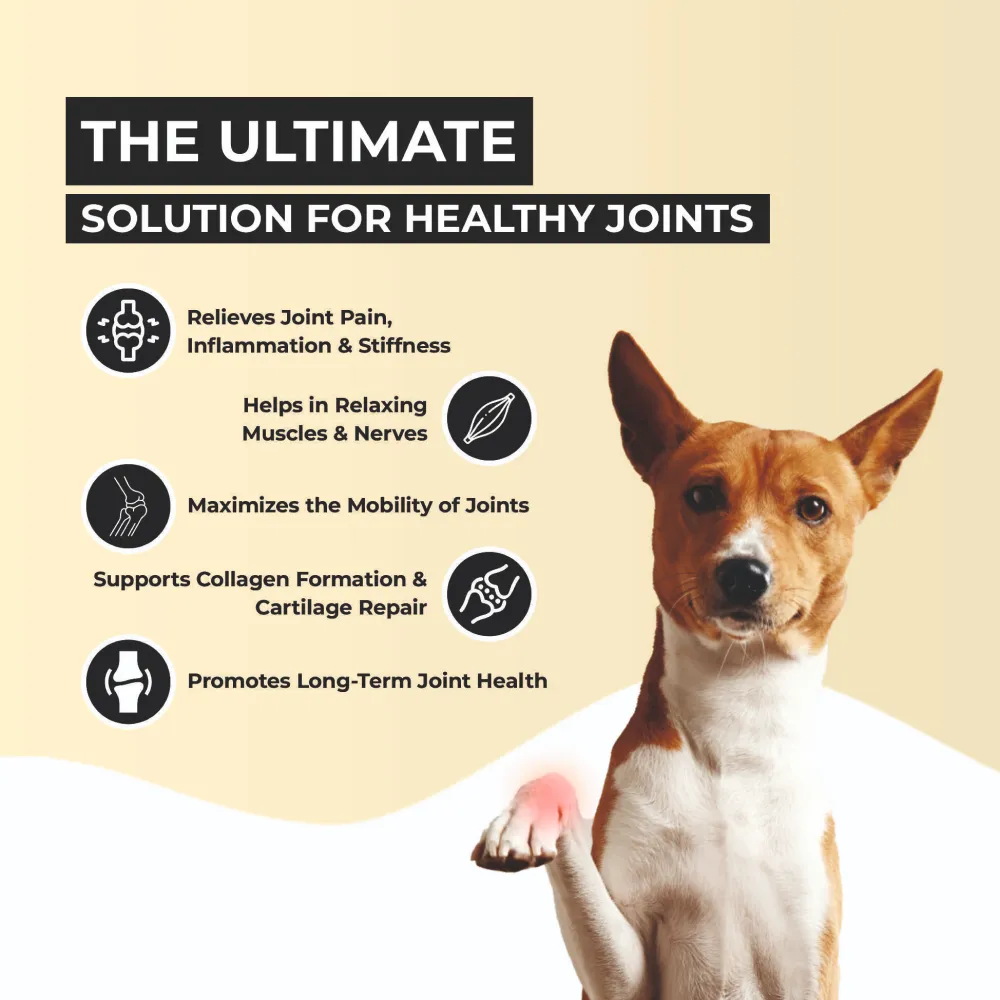 FurBall Story Jump O Joint Care Oil for Dogs and Cats