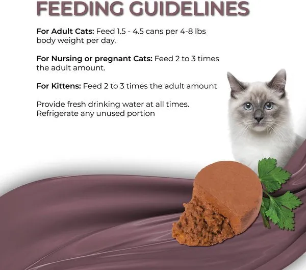 Fussie Cat Fine Dining Mousse Mackerel with Pumpkin Entree Canned Cat Food