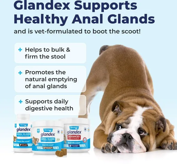 Glandex Anal Gland Powder Supplement Beef Liver Flavor for Dogs & Cats