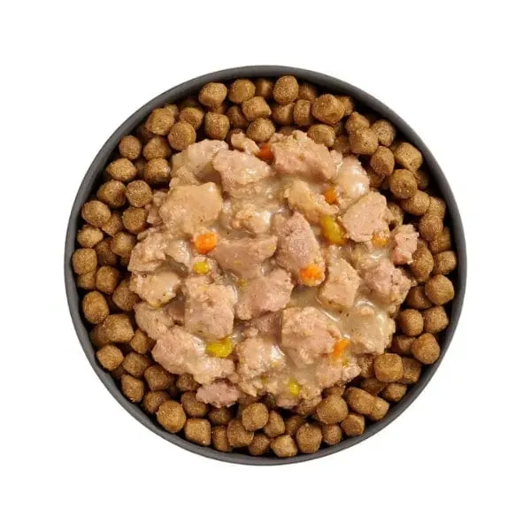 Go! Solutions Booster Brain Health Minced Chicken   Salmon with Gravy Wet Cat Food