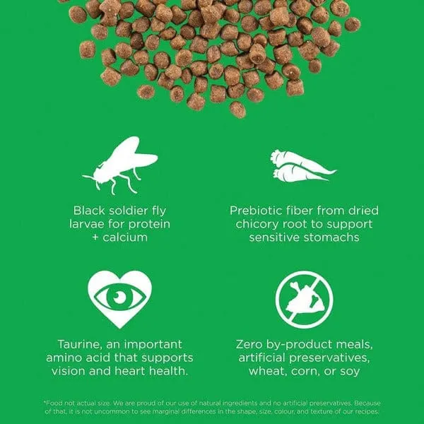 Go! Solutions Sensitivities Limited Ingredient Grain Free Insect Recipe Dry Cat Food (SPECIAL ORDER ITEM)