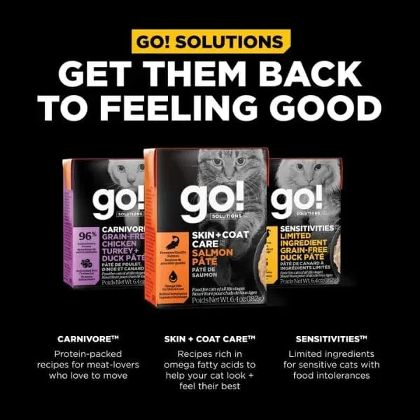 Go! Solutions Skin & Coat Care Salmon Pate Wet Cat Food