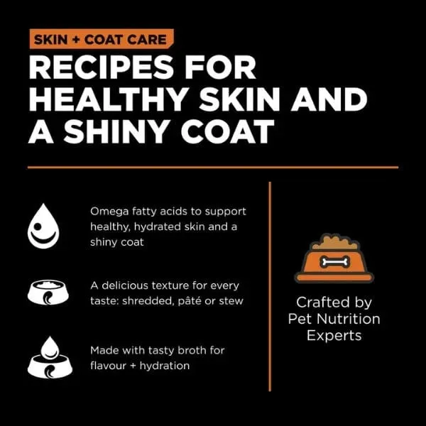 Go! Solutions Skin & Coat Care Salmon Pate Wet Cat Food