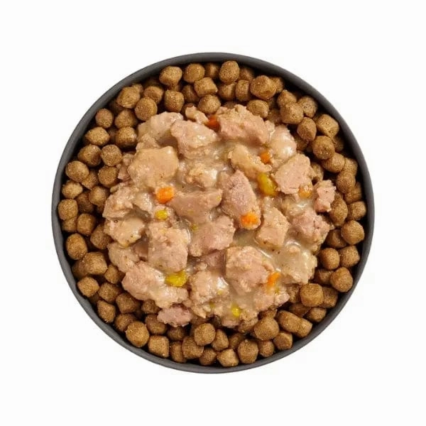 Go! Solutions Booster Brain Health Minced Chicken   Salmon with Gravy Wet Cat Food