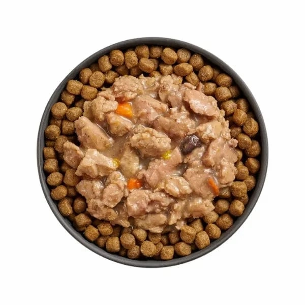 Go! Solutions Booster Immune Health Minced Chicken   Salmon with Gravy Wet Cat Food