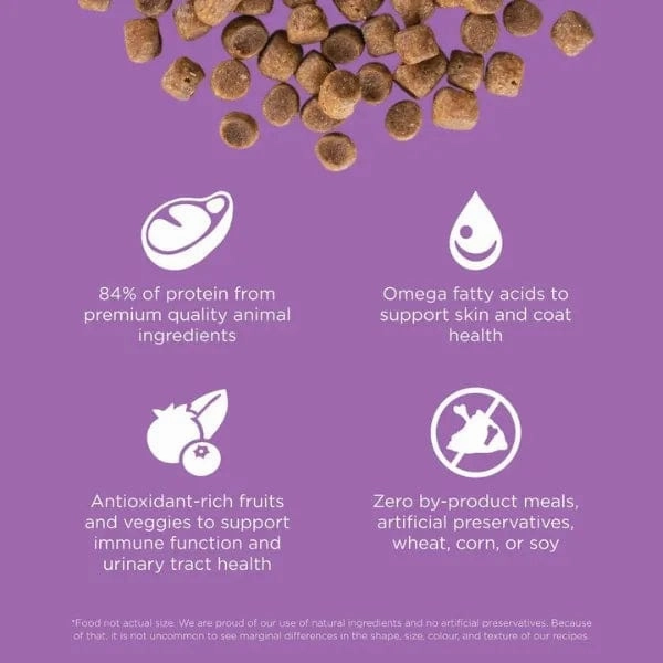 Go! Solutions Carnivore Grain-Free Chicken, Turkey & Duck Recipe Dry Cat Food