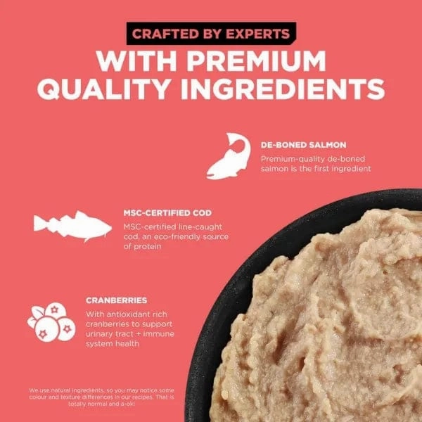Go! Solutions Carnivore Grain Free Salmon & Cod Pate Wet Cat Food