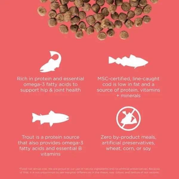 Go! Solutions Carnivore Grain-Free Salmon & Cod Recipe Dry Cat Food