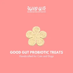 Good Gut Probiotic Treats 100g