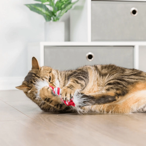 Huxley & Kent Lit Donut & Peppermint Candy Cat Toy