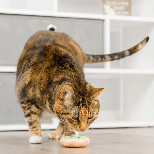 Huxley & Kent Lit Donut & Peppermint Candy Cat Toy