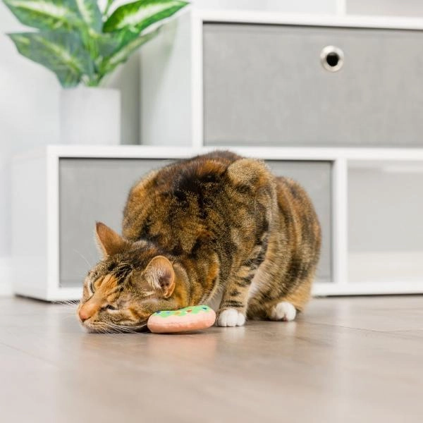 Huxley & Kent Lit Donut & Peppermint Candy Cat Toy