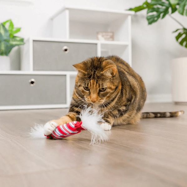 Huxley & Kent Lit Donut & Peppermint Candy Cat Toy