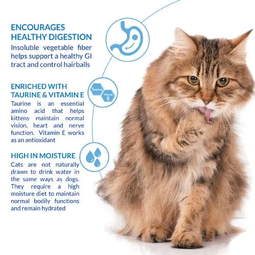 Inaba Churu Hairball Control Chicken Recipe Creamy Pure Cat Treat
