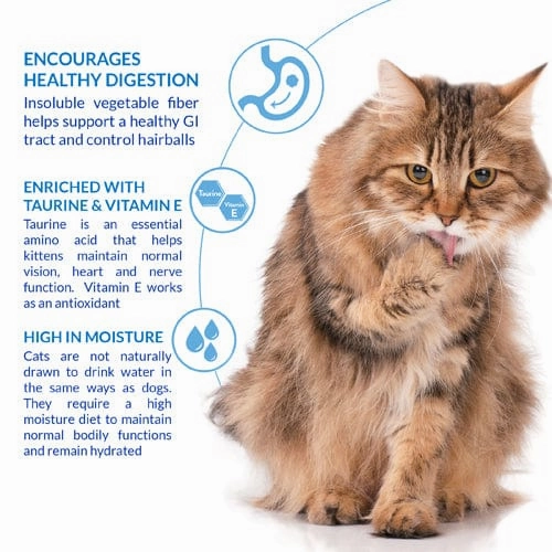 Inaba Churu Hairball Control Chicken Recipe Creamy Pure Cat Treat