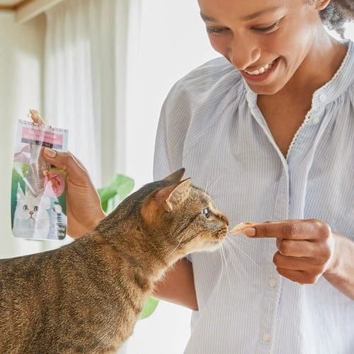 Inaba Grilled Tuna in Tuna Flavoured Broth Cat Treat