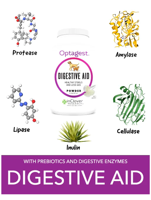 InClover Optagest Plant Based Prebiotics & Digestive Enzymes Travel Sticks for Dogs & Cats