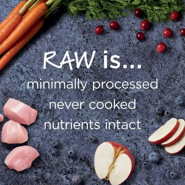 Instinct Raw Boost Real Chicken Recipe Dry Cat Food
