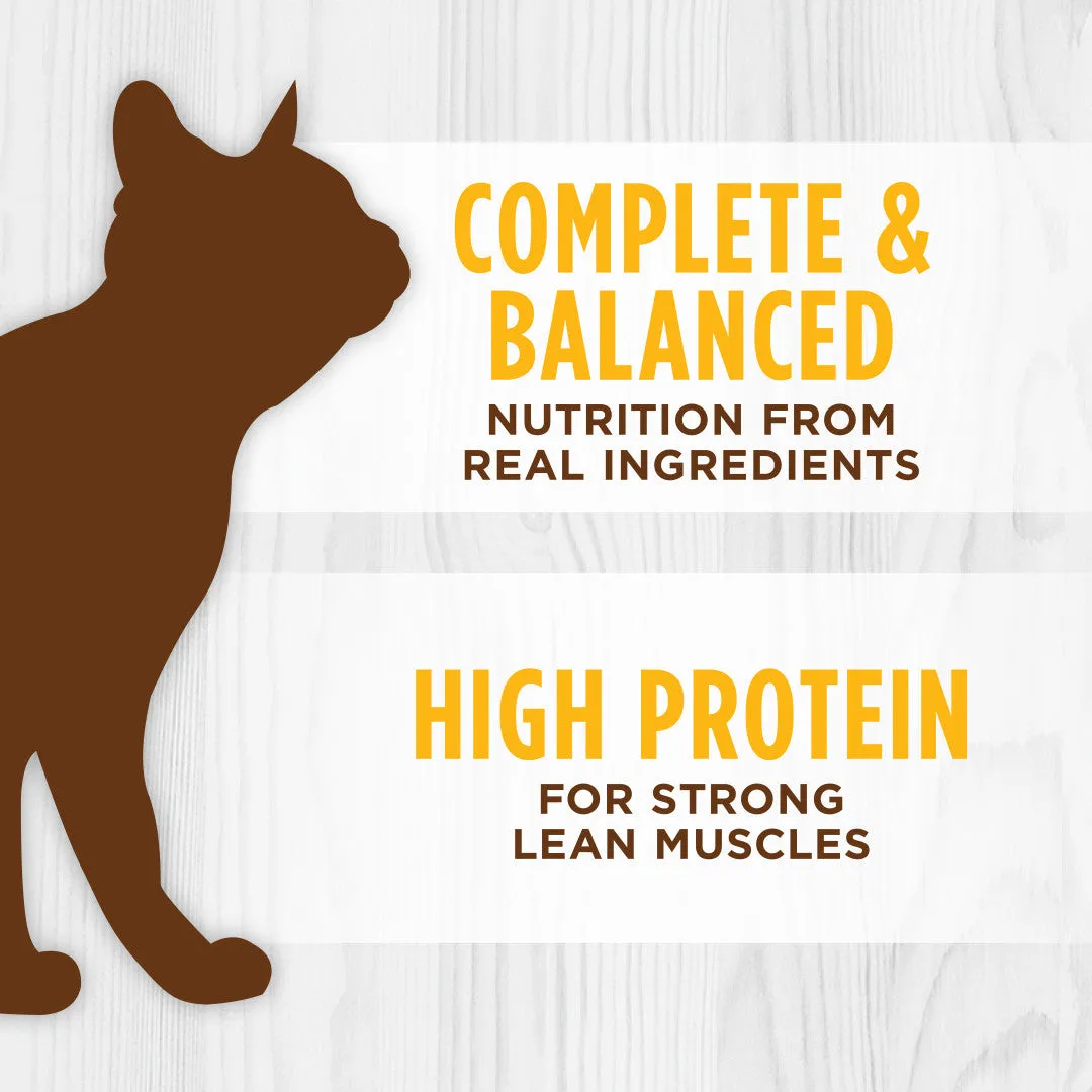 Instinct The Raw Brand Cat Original Grain-Free Pate Real Chicken Recipe 5.5oz