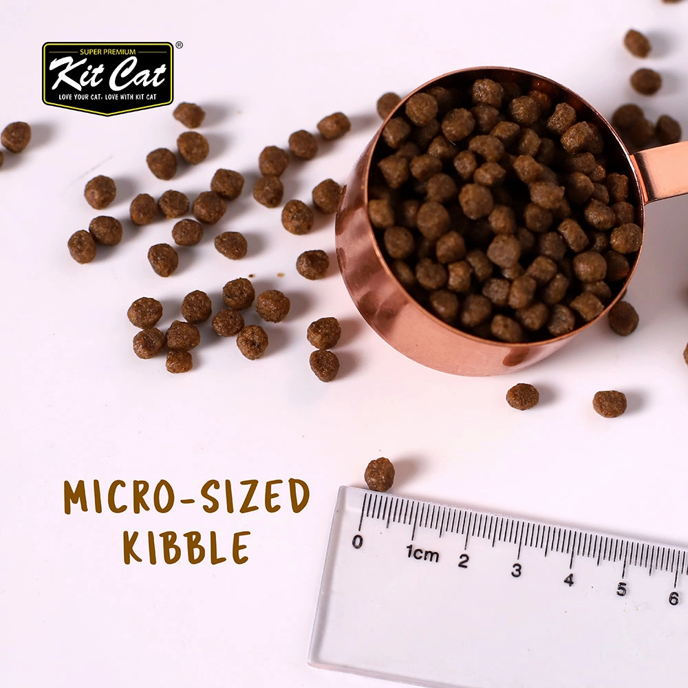 KitCat No Grain Kitten Recipe 10kg