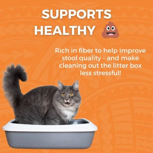 KOHA Limited Ingredient Bland Diet Chicken & White Rice Recipe for Cats
