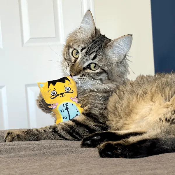 KONG Artz Dali & Van Gogh Cat Toy