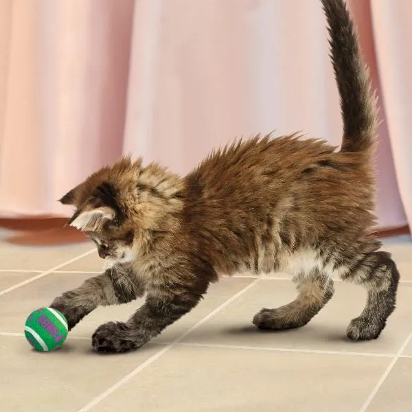 KONG Cat Active Tennis Balls with Bells Cat Toy