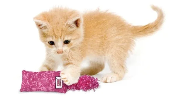 KONG Kickeroo Kitten Toy