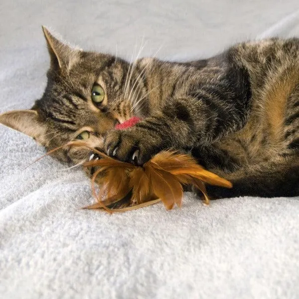 KONG Naturals Crinkle Ball w/Feathers Cat Toy