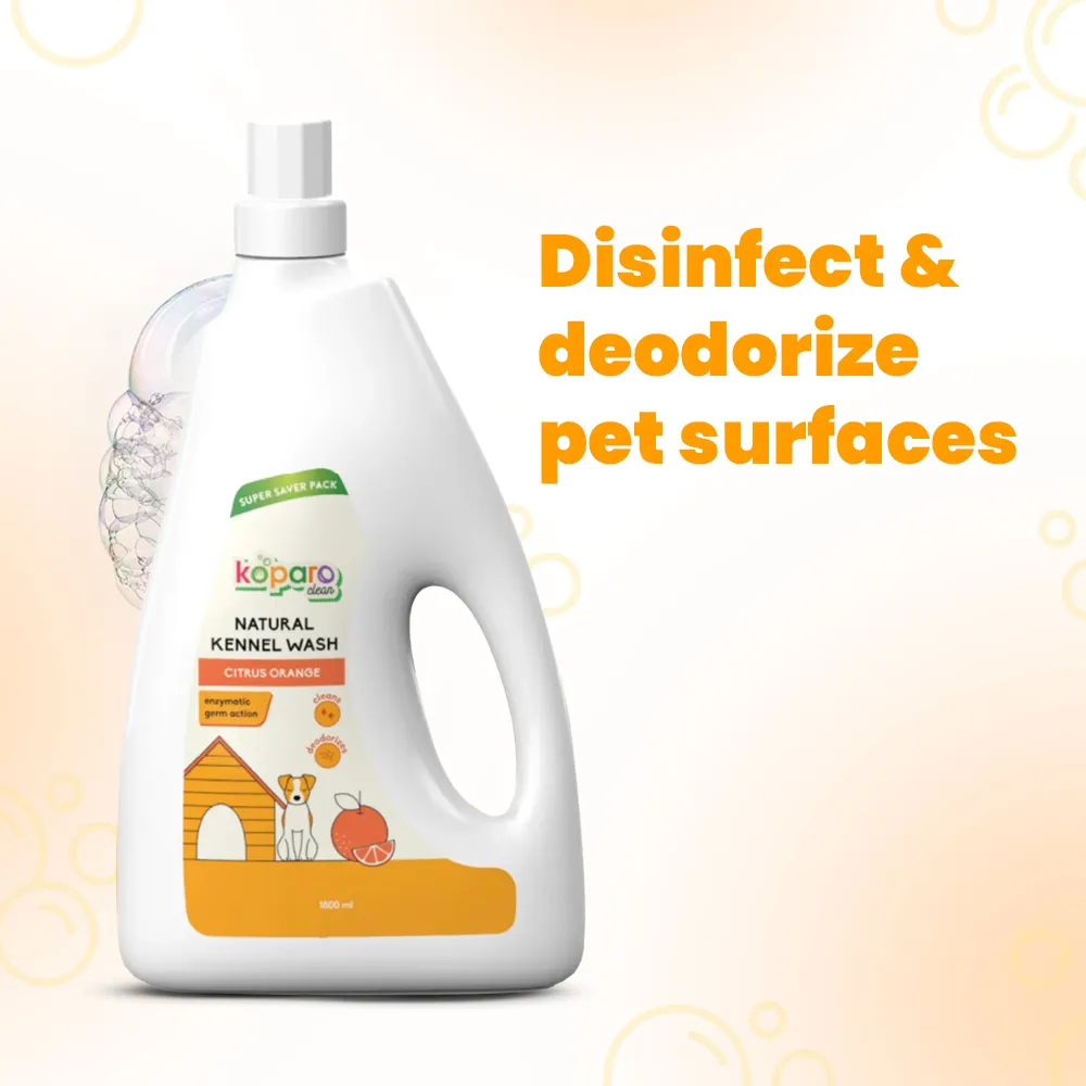 Koparo Clean Natural Citrus Orange Fragrance Kennel Wash (Pet Safe)
