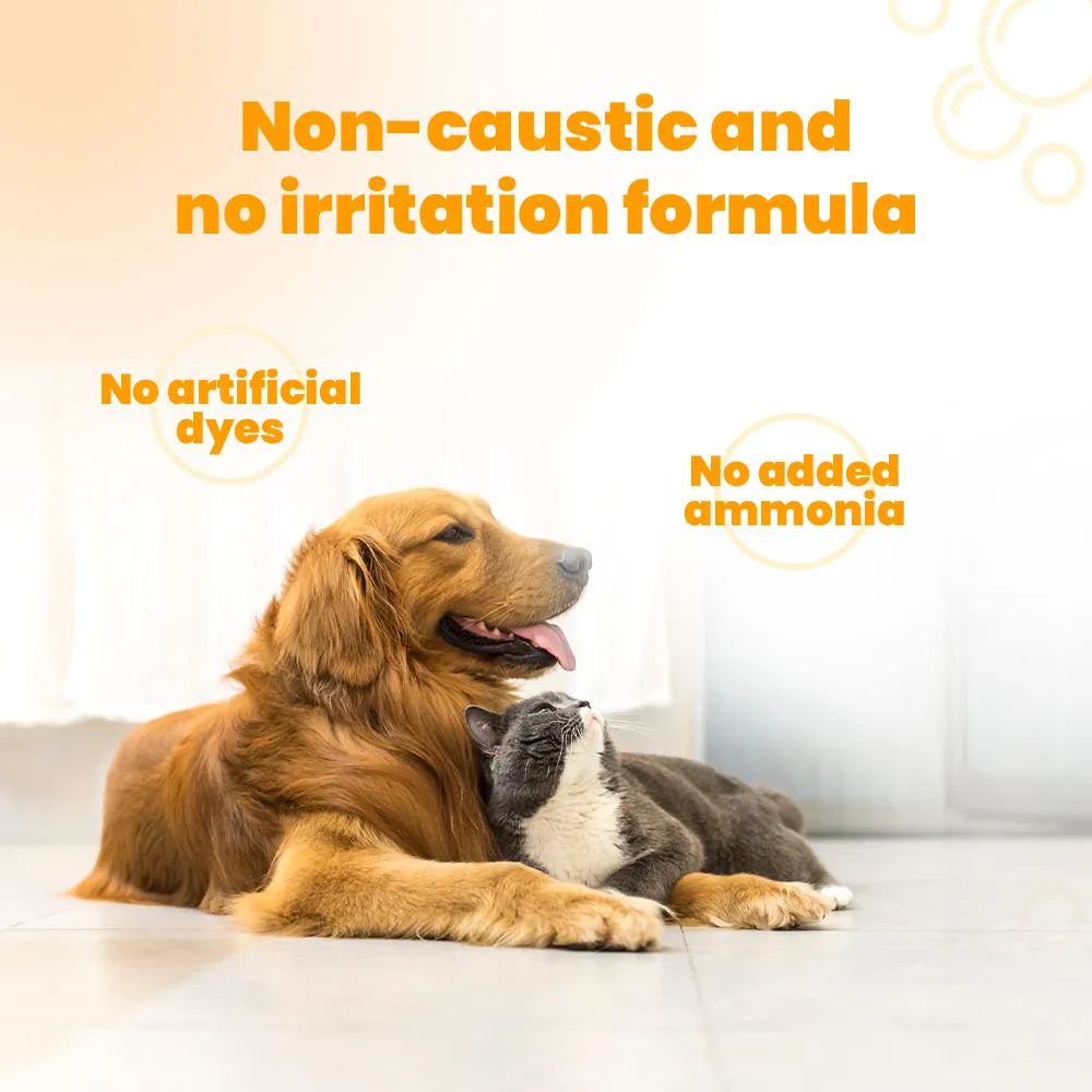 Koparo Clean Natural Citrus Orange Fragrance Kennel Wash (Pet Safe)