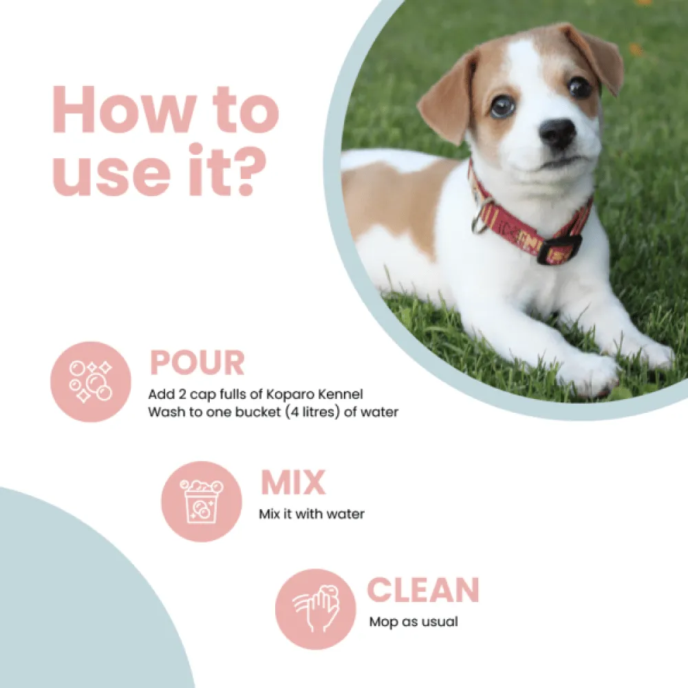 Koparo Clean Natural Citrus Orange Fragrance Kennel Wash (Pet Safe)