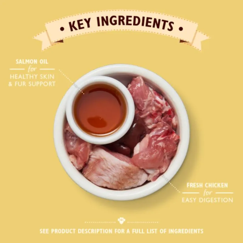Lily's Kitchen - Wet Food For Cats - Chicken Pat 85g