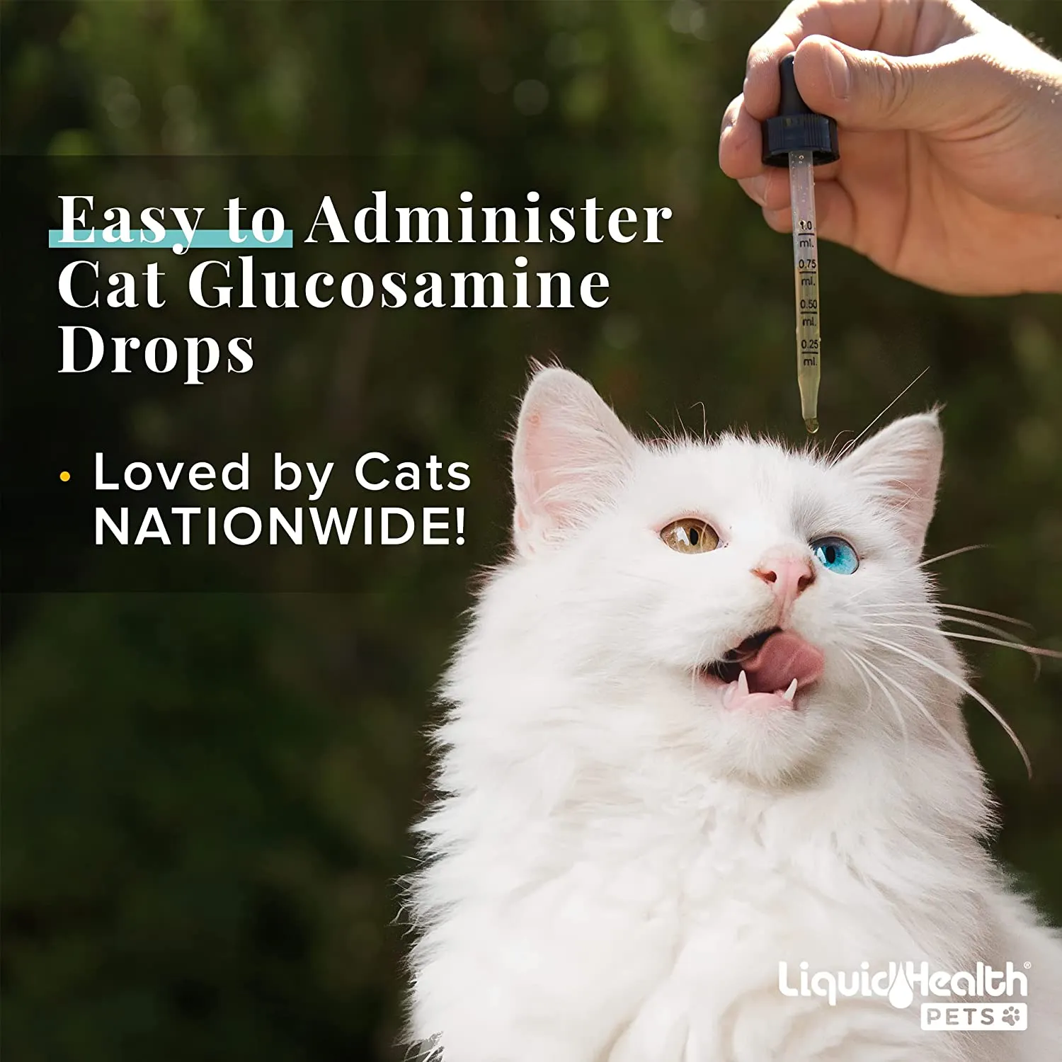 Liquid Health Pets Joint Purr-Fection Glucosamine Supplement For Cats
