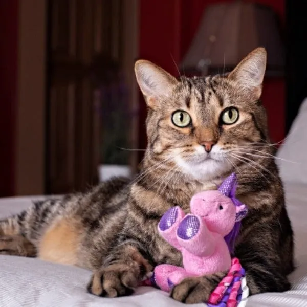 Multipet Unicorn Assorted Cat Toy