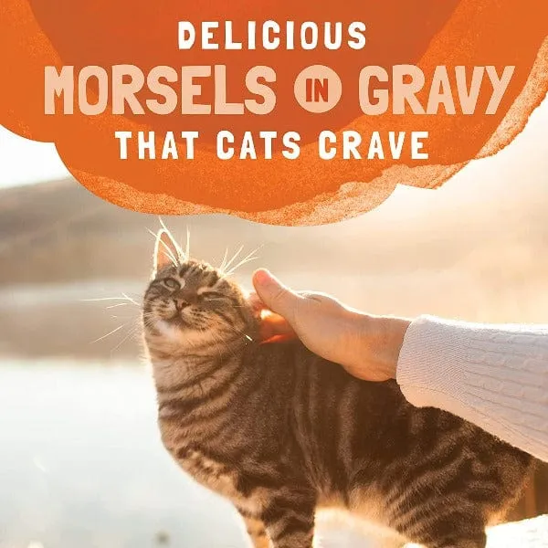 Natural Balance Platefulls Turkey, Chicken & Duck Recipe Morsels in Gravy Cat Food Pouch