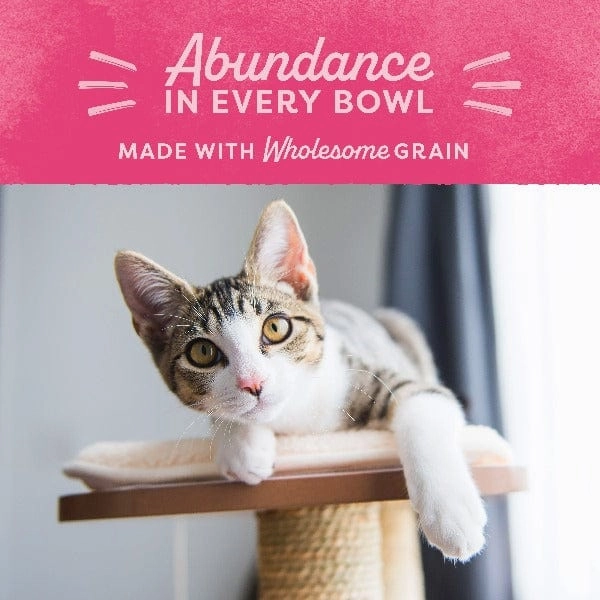 Natural Balance Fat Cats Chicken Meal & Salmon Meal Recipe Dry Cat Food
