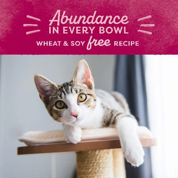 Natural Balance Original Ultra Chicken Meal & Salmon Meal Recipe Dry Cat Food