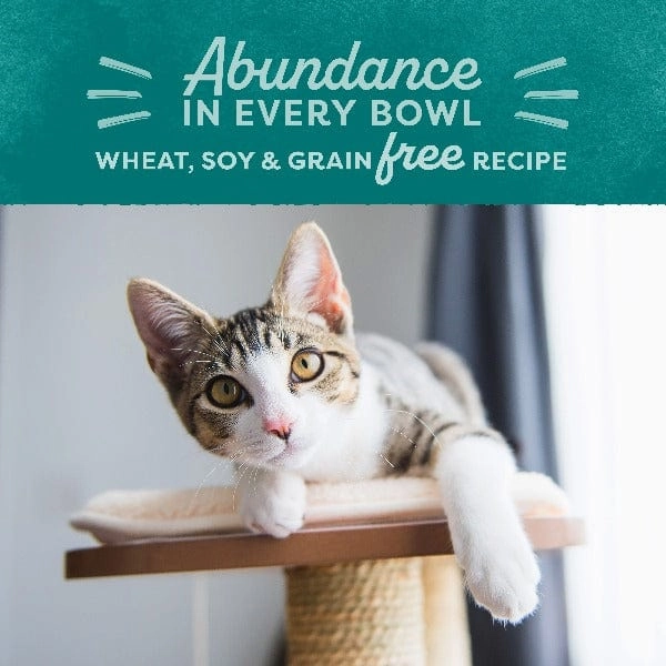 Natural Balance Original Ultra Indoor Chicken & Salmon Meal Recipe Dry Cat Food