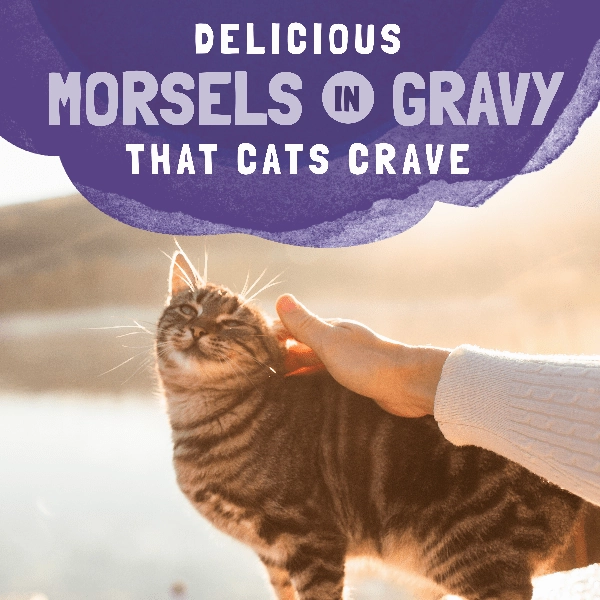 Natural Balance Platefulls Chicken & Chicken Liver Recipe Morsels in Gravy Cat Food Pouch