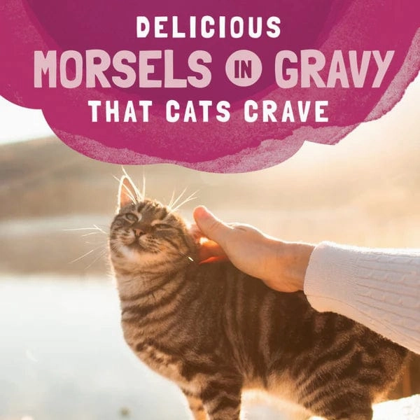 Natural Balance Platefulls Turkey, Salmon & Chicken Recipe Morsels in Gravy Soft Cat Food Pouch